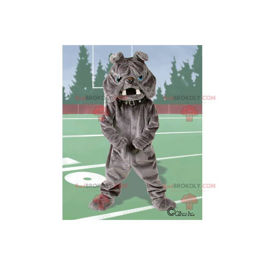 Szary buldog maskotka z niebieskimi oczami - Redbrokoly.com Szary buldog maskotka z niebieskimi oczami - Redbrokoly.com