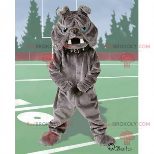 Gray bulldog mascot with blue eyes - Redbrokoly.com