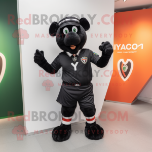 Black Irish Flag mascotte...