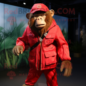 Red Baboon mascot costume character dressed with a Windbreaker and Suspenders