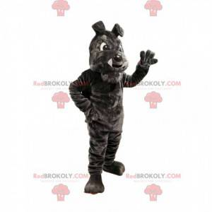 Mascota bulldog gris oscuro con grandes colmillos -