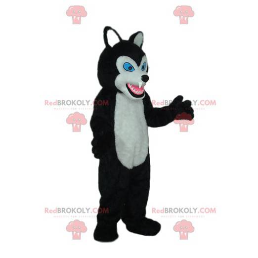 Mascote lobo preto e branco com olhos azuis - Redbrokoly.com