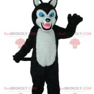 Mascotte de loup noir et blanc avec des yeux bleus -