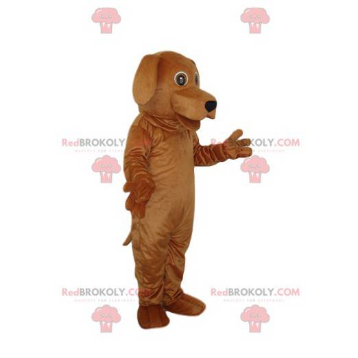 Frozen brown dog mascot with a pretty black muzzle -