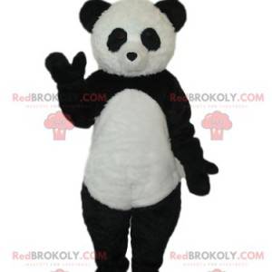 Mascotte del panda in bianco e nero. Costume da panda -