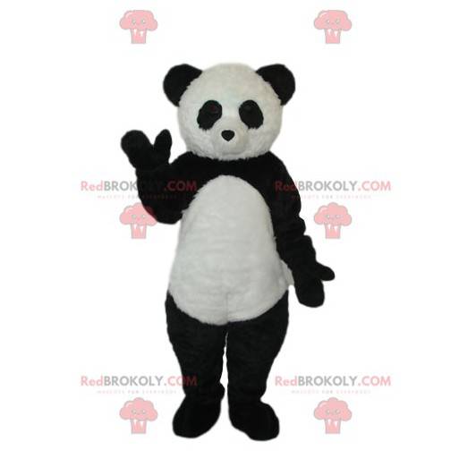 Mascotte del panda in bianco e nero. Costume da panda -