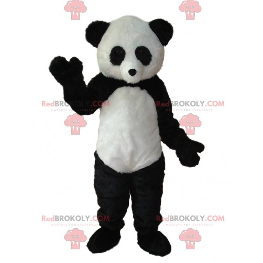 Mascote do panda preto e branco. Fantasia de panda -