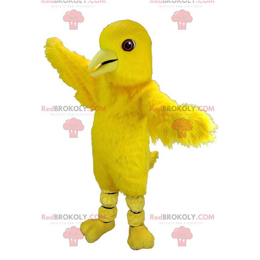 Reuze kanarie gele vogel mascotte - Redbrokoly.com