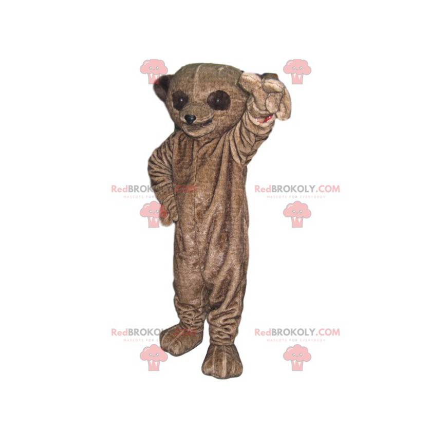 Brown lemur mascot with big eyes - Redbrokoly.com