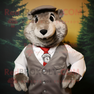 Grå Beaver maskot kostume...