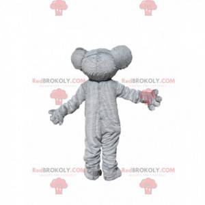 Gray and white koala mascot with a beautiful coat -