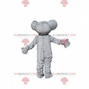 Grå og hvit koala maskot med en vakker pels - Redbrokoly.com