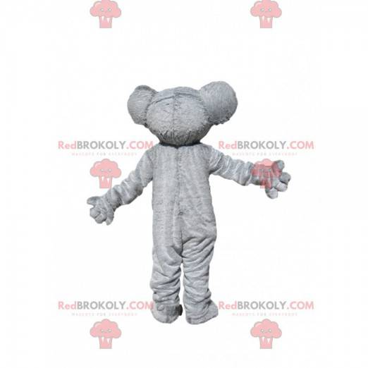 Mascotte de koala gris et blanc avec un magnifique pelage -