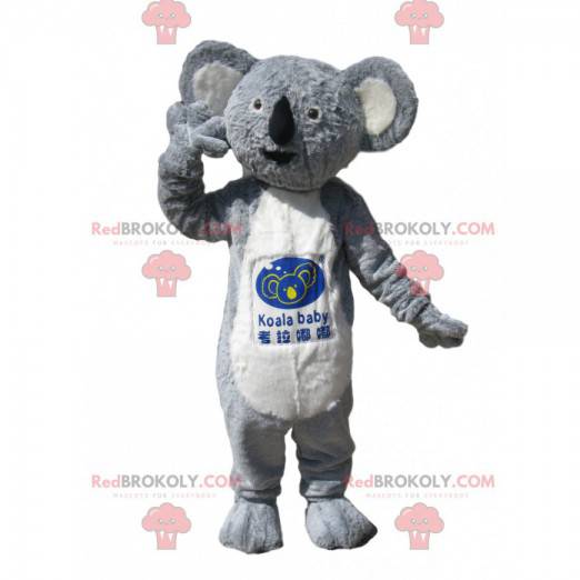 Mascotte de koala gris et blanc avec un magnifique pelage -