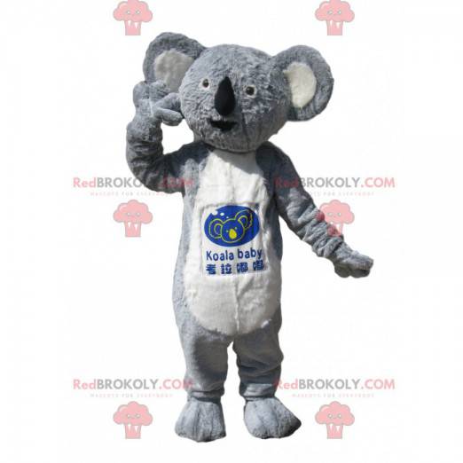 Mascotte koala grigio e bianco con un bellissimo cappotto -