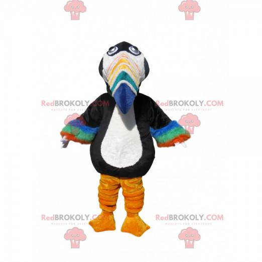 Mascot black and white toucan with a multicolored beak -