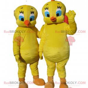 Titi mascot duo, from the cartoon Titi & Grosminet -