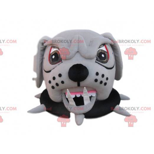 Aggressive bull dog mascot head with a collar - Redbrokoly.com