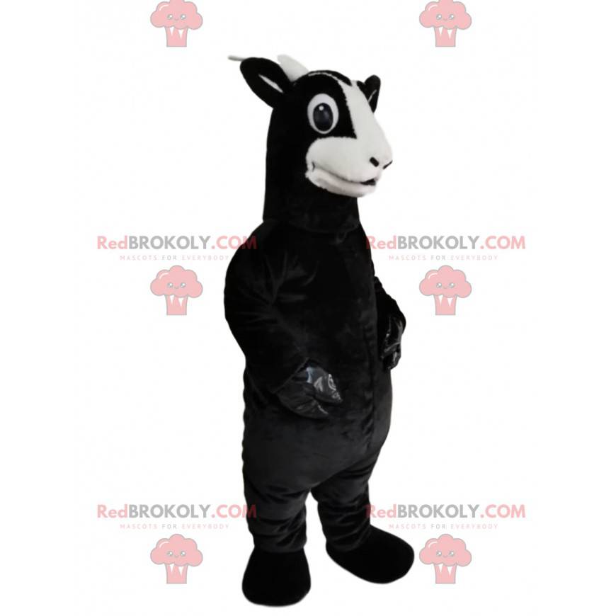 Black goat mascot with a beautiful look - Redbrokoly.com