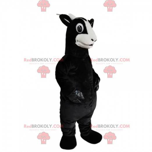 Mascota de cabra negra con un aspecto hermoso - Redbrokoly.com