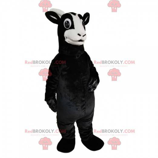 Sort gedemaskot med et smukt udseende - Redbrokoly.com