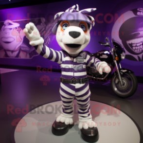 Purple Zebra mascot costume character dressed with a Moto Jacket and Caps