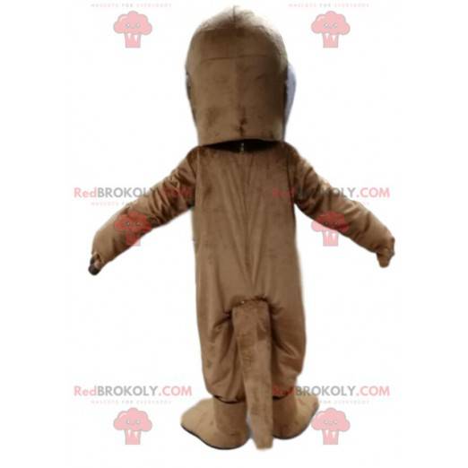 Brown and white bear mascot with a head too funny -