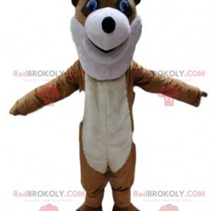 Brown and white bear mascot with a head too funny -