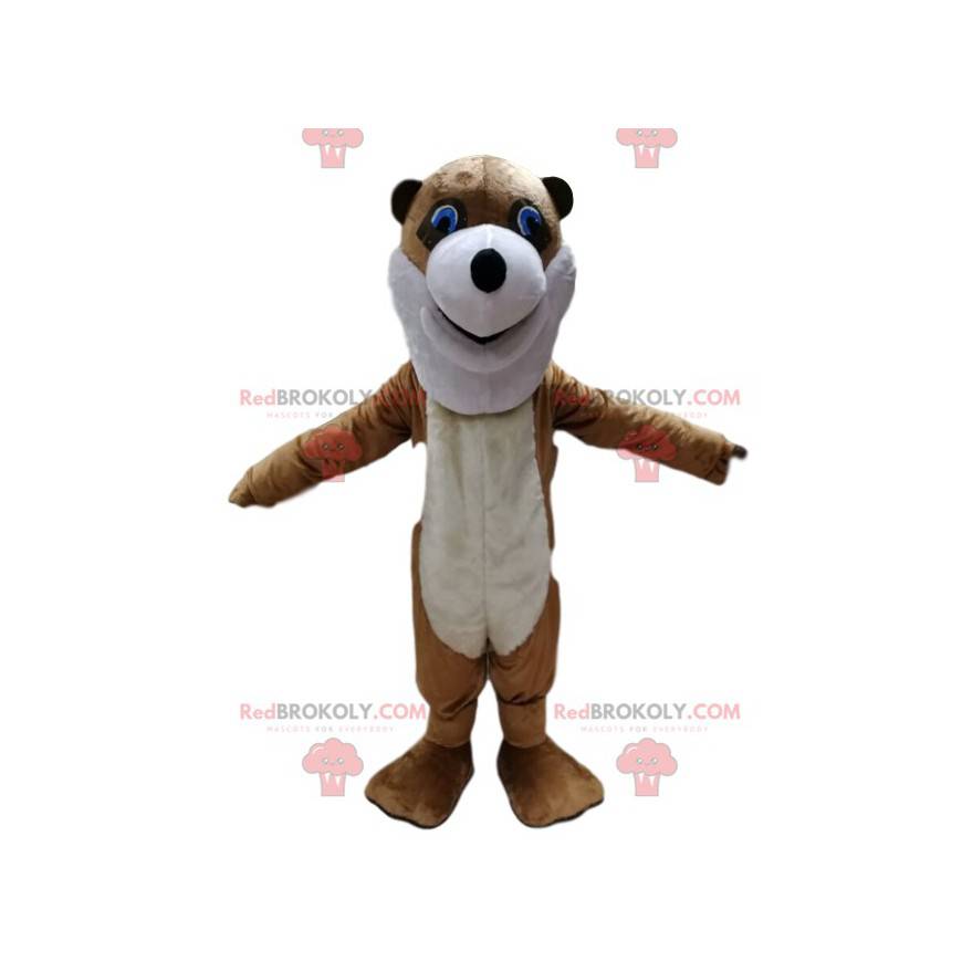 Brown and white bear mascot with a head too funny -
