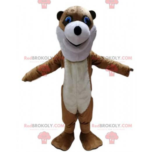 Mascotte d'ourson brun et blanc avec une tête trop marrante -