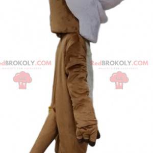 Brown and white bear mascot with a head too funny -