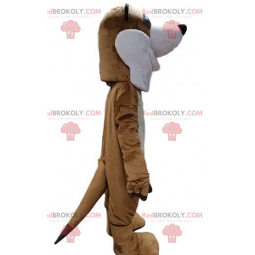 Brown and white bear mascot with a head too funny -