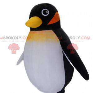 Mascotte de petit pingouin noir. Costume de pingouin -