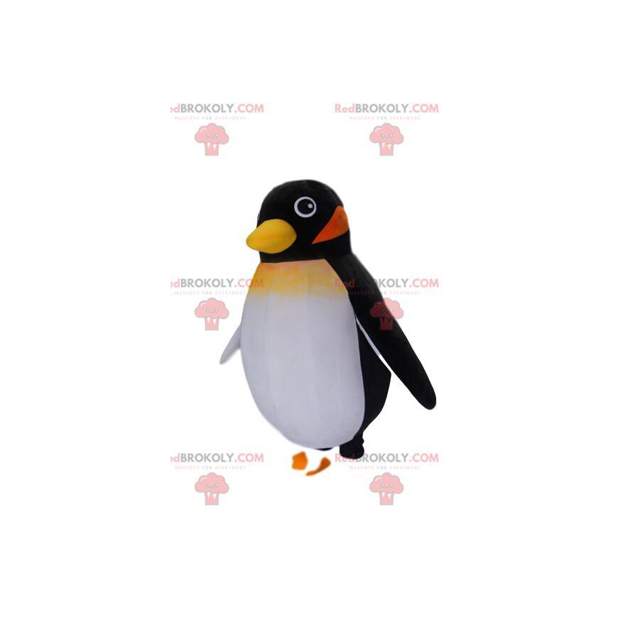 Mascotte de petit pingouin noir. Costume de pingouin -