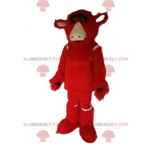 Rød ko maskot med et rørende look - Redbrokoly.com