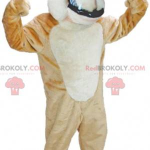 Mascota de perro marrón y blanco mirando feroz - Redbrokoly.com