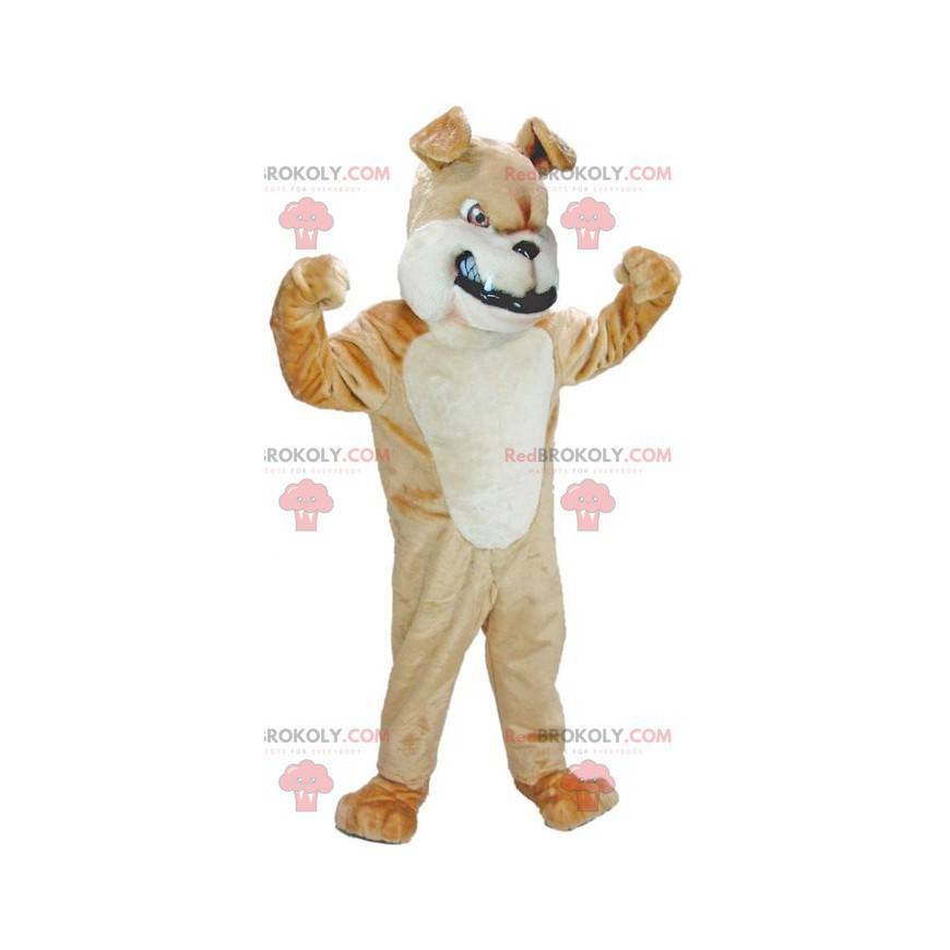 Mascote cachorro marrom e branco parecendo feroz -