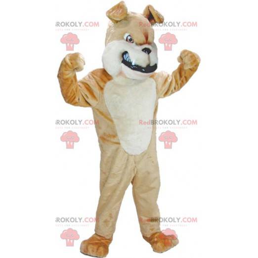 Braunes und weißes Hundemaskottchen, das heftig aussieht -