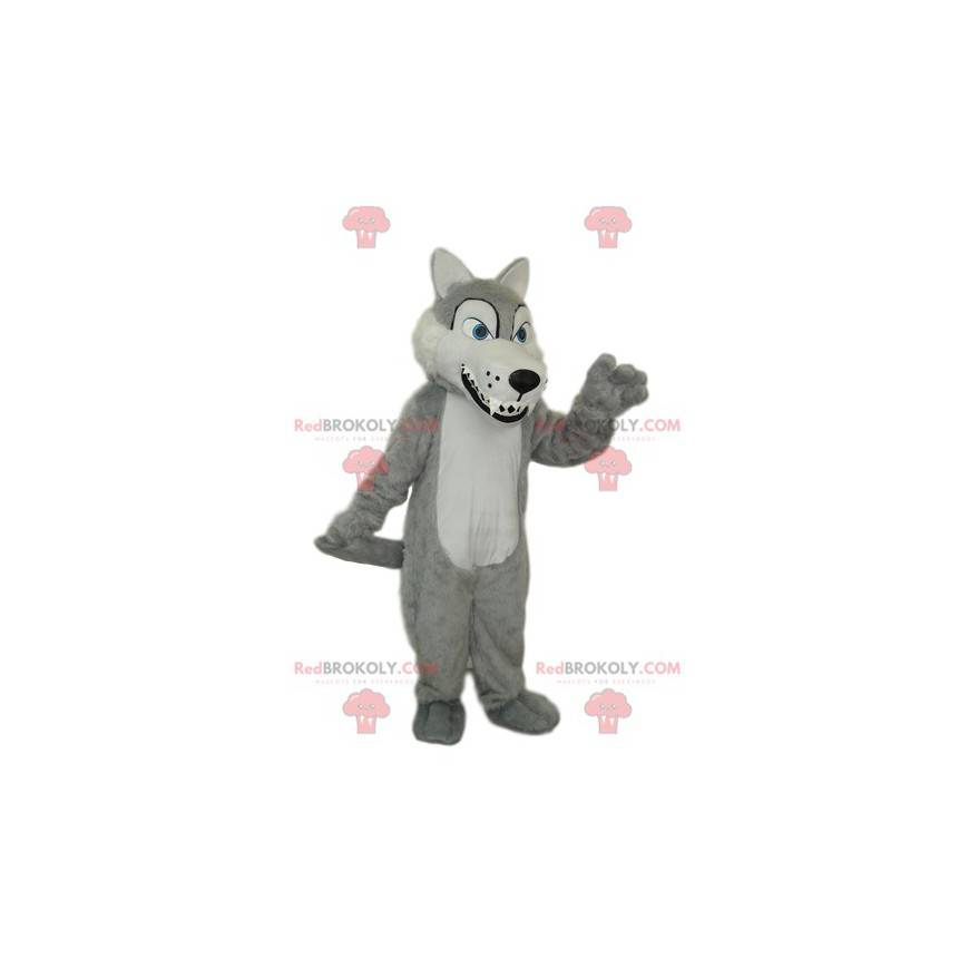 Mascotte de loup gris et blanc avec de grandes dents -