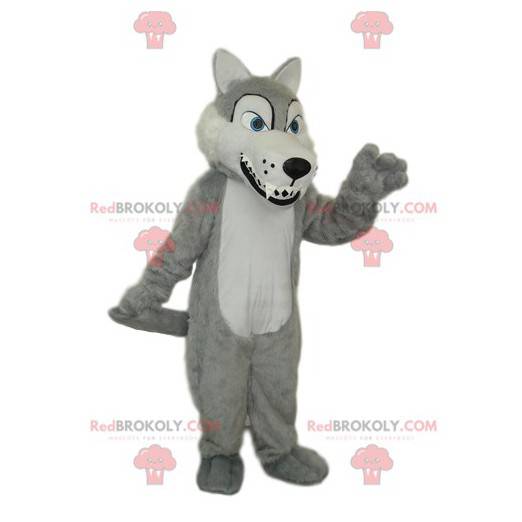 Szary i biały wilk maskotka z dużymi zębami - Redbrokoly.com