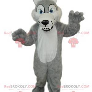 Gray and white wolf mascot with big teeth - Redbrokoly.com