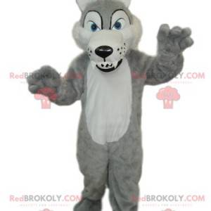 Grå og hvid ulvemaskot med store tænder - Redbrokoly.com
