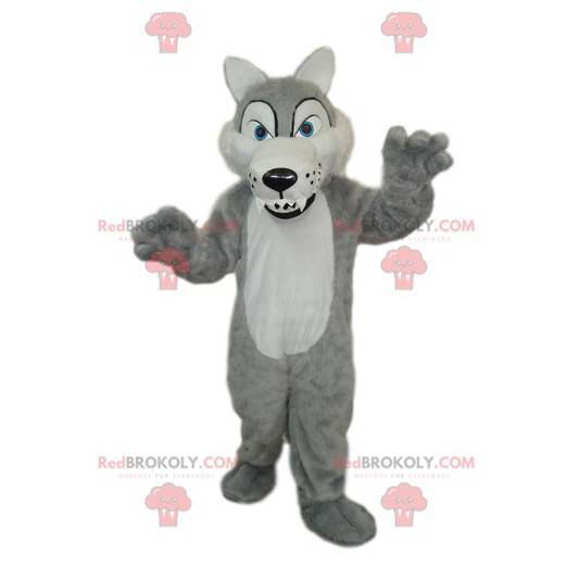 Szary i biały wilk maskotka z dużymi zębami - Redbrokoly.com