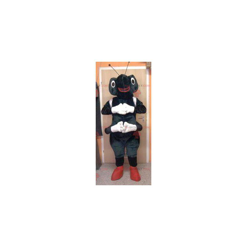 Black and white ant mascot - Redbrokoly.com