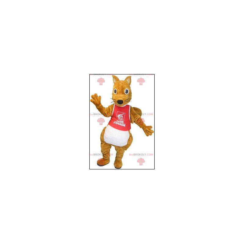 Plump and cute brown squirrel mascot - Redbrokoly.com