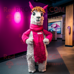 Magenta Llama mascot costume character dressed with a Chinos and Shawl pins