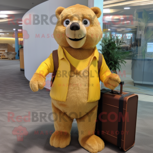 Gold Beaver mascot costume character dressed with a Sweater and Briefcases