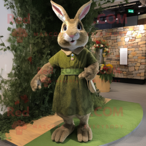 Olive Wild Rabbit mascotte...