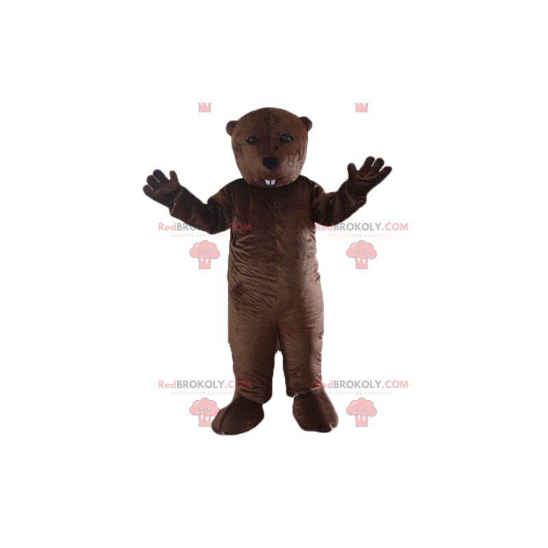 Mascota de marmota de roedor castor marrón - Redbrokoly.com