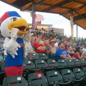 Mascotte d'oiseau de mouette en tenue bleue et rouge -